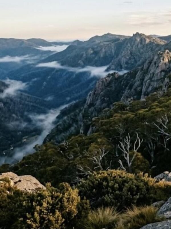 Granite tors and wind-twisted snow gums in the Australian Alps